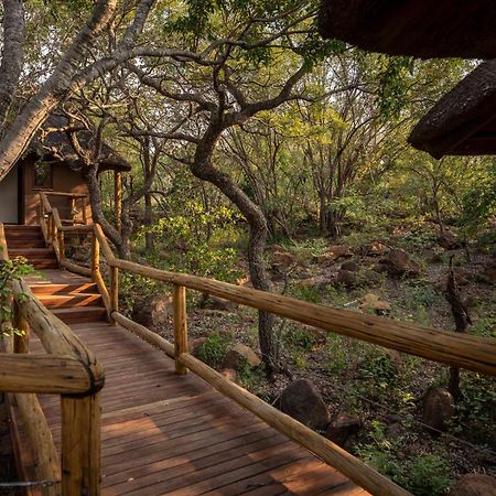 Tshwene Lodge Фаалватер Екстериор снимка